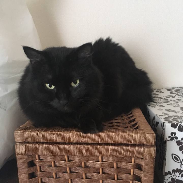 82f776e5 f5d5 4402 b335 fcb0d3f456ca 1532213364289