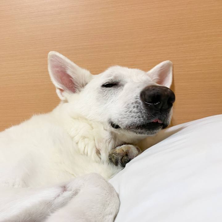 82f7b33a 5fa9 4dbb 81ca bab201307d8a 1645344653917