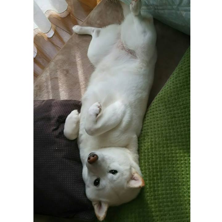 82f7bcb9 d1f7 4f5d b51f ef9c8ba32aa3 1527405129716