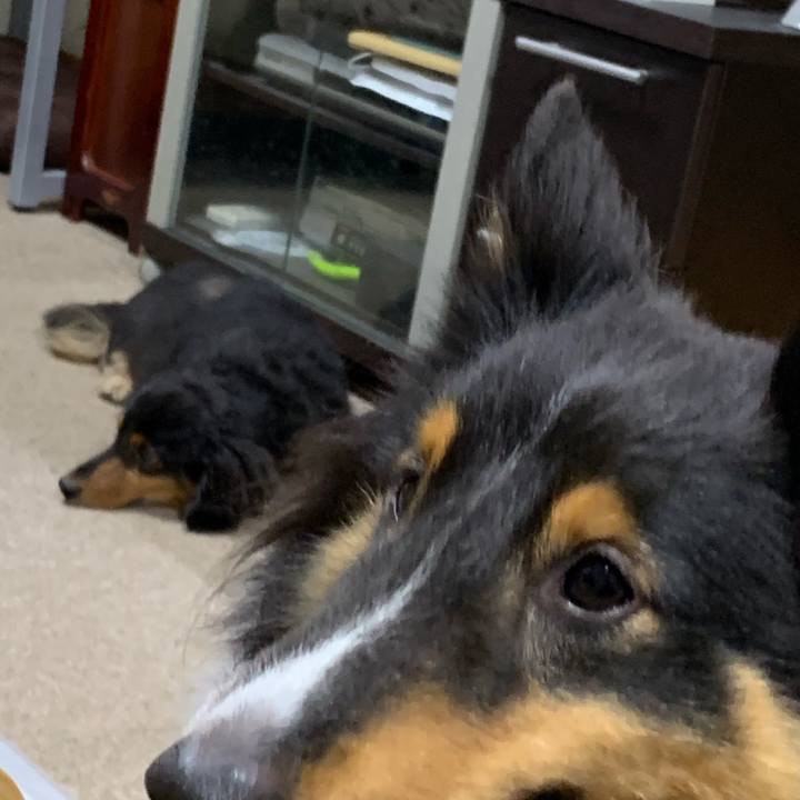 82f7f451 61d1 415b ac72 2131d93e98cf 1566942171607