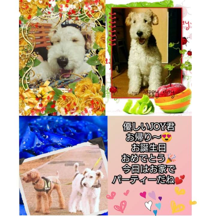 82f7f64e 297a 4369 a0f8 c9f0127c993a 1557963969987