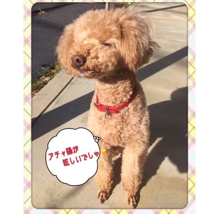 82f812cf 945f 4761 8ce6 16c0a501fe1a 1541216497957