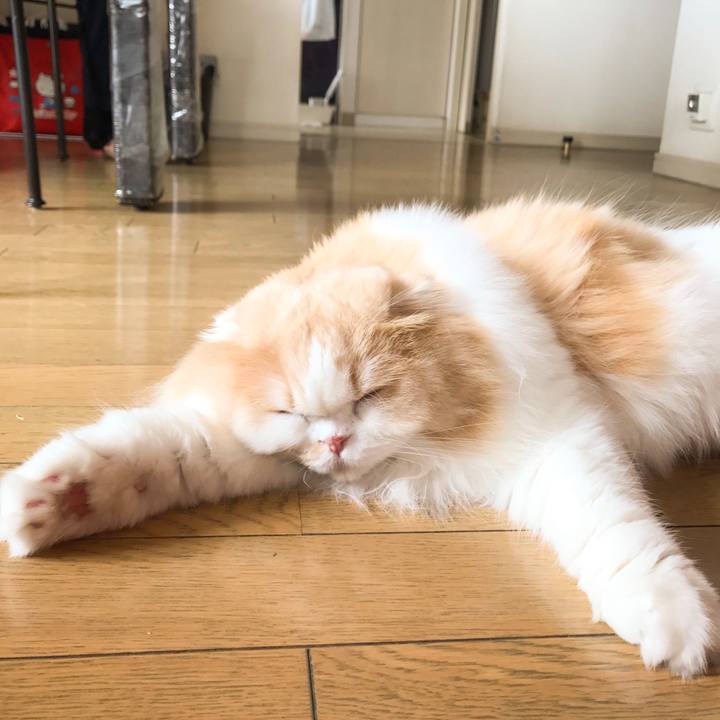 82f8144a 7b88 4344 99cd 7d79d26a55f2 1517664257569