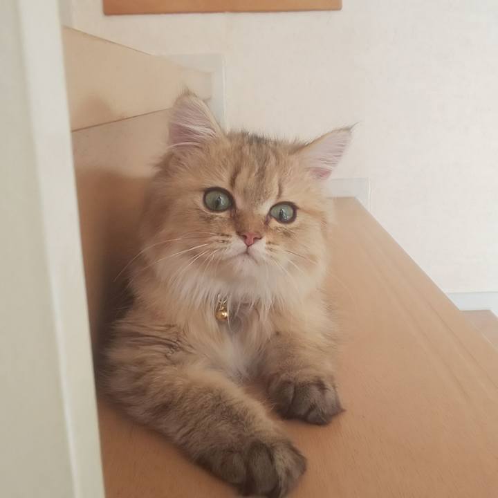 82f83f04 0b61 49d0 b793 7127d1b10ad0 1558879378762