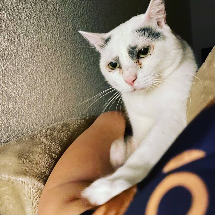 82f867af d1ec 464b 83e7 e82408b24667 1576338201670