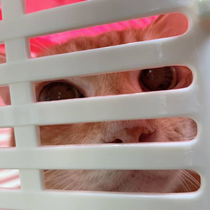 82f87cbc dcaa 4700 b5a0 79c593770536 1629893208797