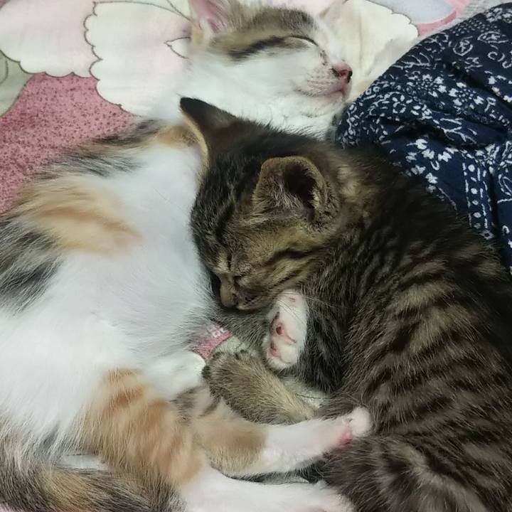 82f882e0 788c 42a5 94e1 40ca897e16c2 1632735741803