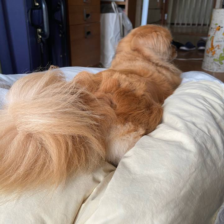 82f8a458 6387 4818 9e5a 9cd6f73da549 1592101556017