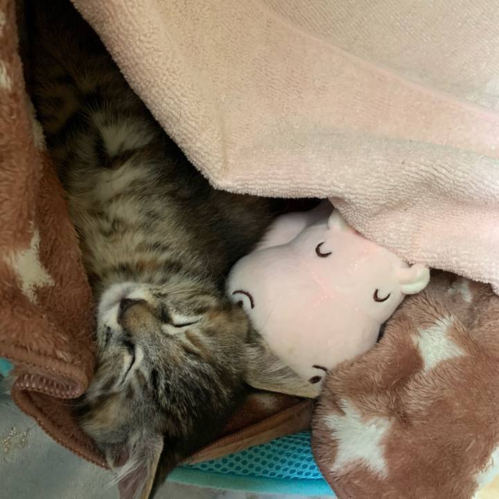 82f8b864 0b2f 4141 ad95 e6f23a27d225 1592228842573