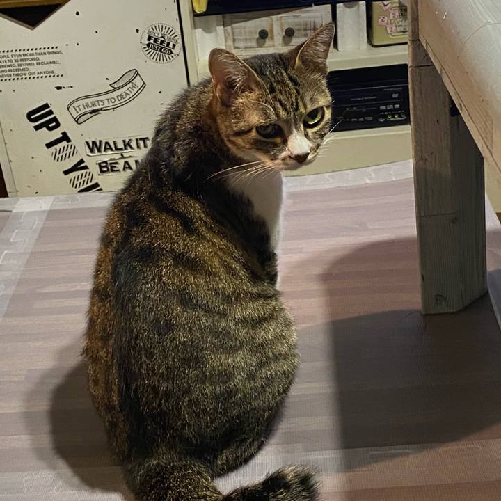 82f8bc1f 0558 4031 9f77 db93d894f6ed 1629550144677