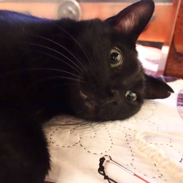 82f90dc7 79c9 4267 acb9 fe3165cc6ba3 1548600260897