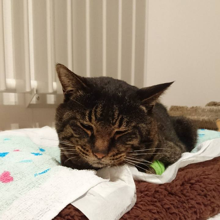 82f91ebb 2a3f 487f 8d9d f9013fc7acc2 1549422804912