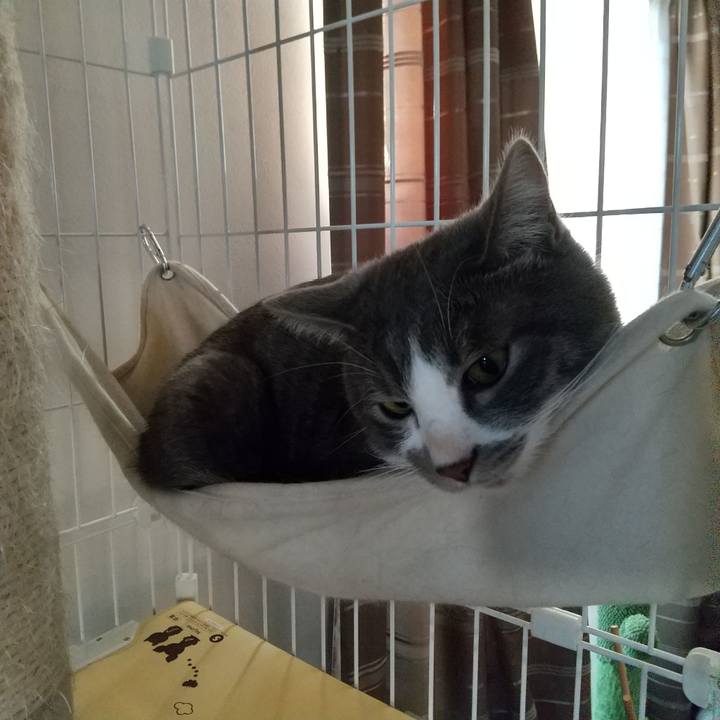 82f96655 2739 421a af3c 158fcf64c584 1605422720008