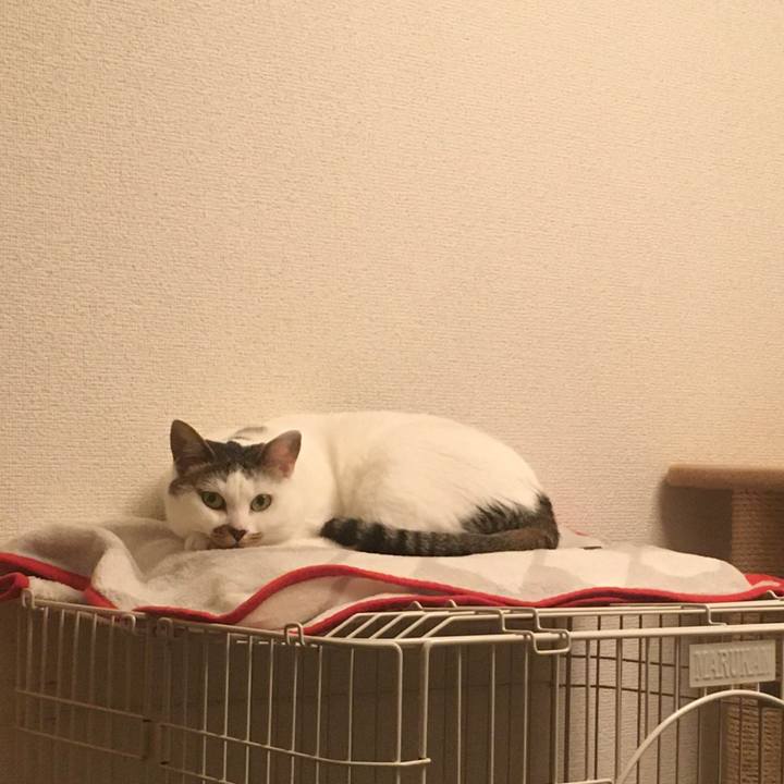 82f973d3 104b 41e0 82dc 6642a4daa618 1607946381188