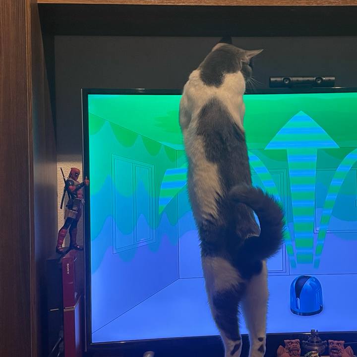 82f981c8 ebea 43ca abf0 570656500486 1624101420527