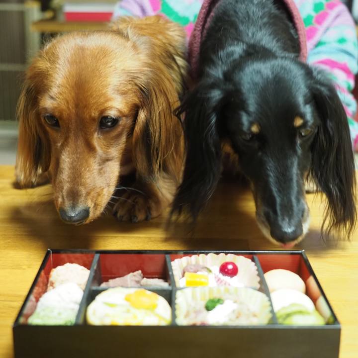 82f9d457 c93d 4907 90d6 713756e76953 1735804707980