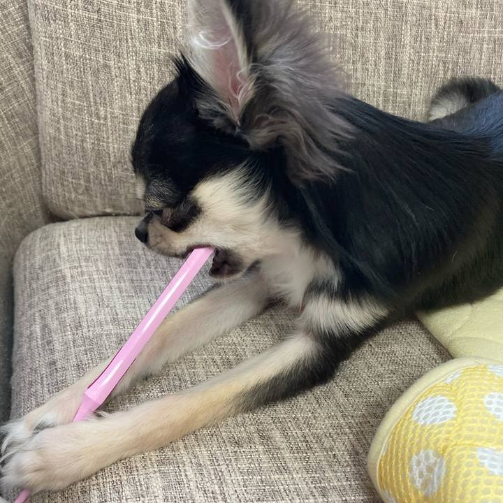 82fa0475 834b 4461 89fd 6a611dcad4d0 1598800183826