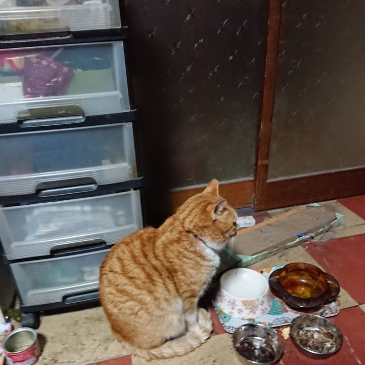 82fa394d ecea 4a44 bc05 19e71c733610 1578945380828