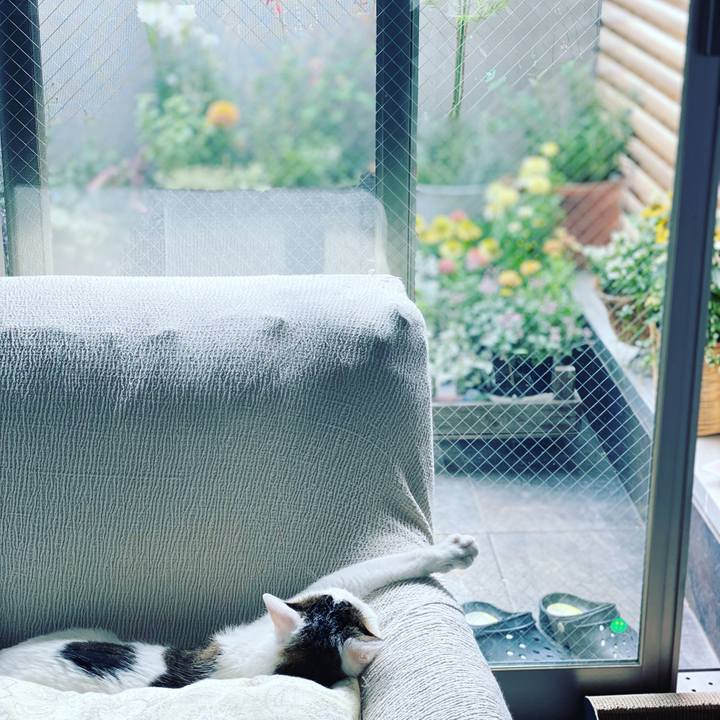 82fa4fac 3a0a 49a7 948e 5771beb40e4a 1626487634922