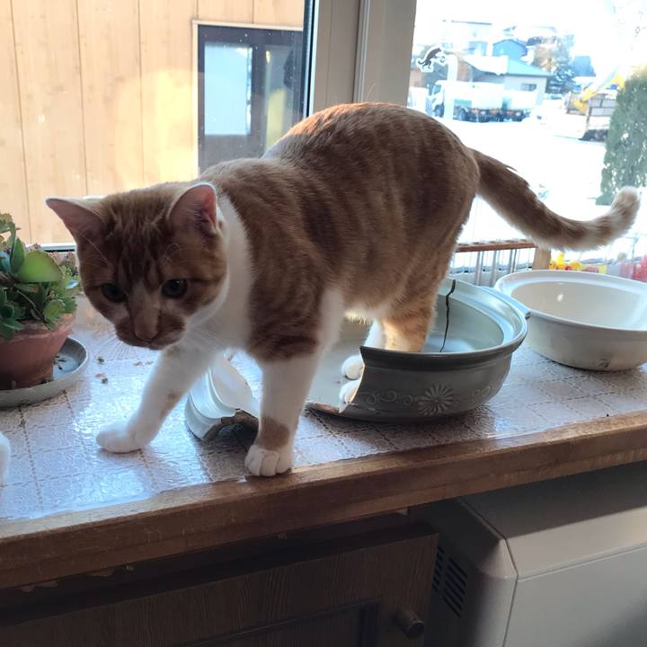 82fa63b8 a12d 436e 9d83 803ad1806bc0 1677966208019