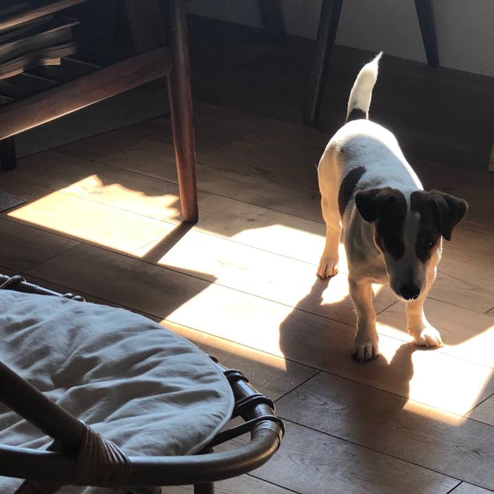 82fb206f d19c 44f0 a85f 7b95c9dc934e 1561448967931