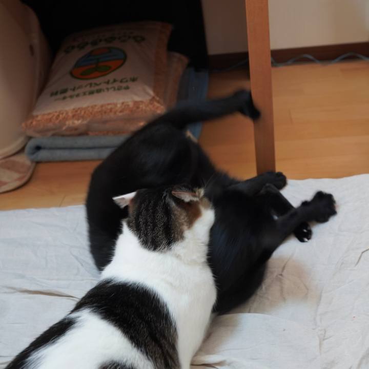 82fb2390 8a13 4456 9854 05f35162d228 1587961870876