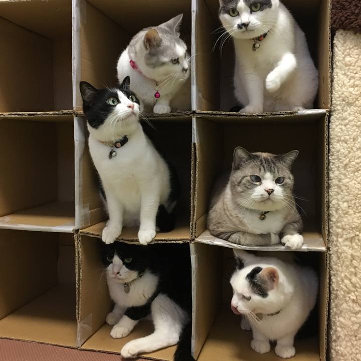 82fb38f7 2903 4a7a baf6 c1249ca1843d 1565602419409