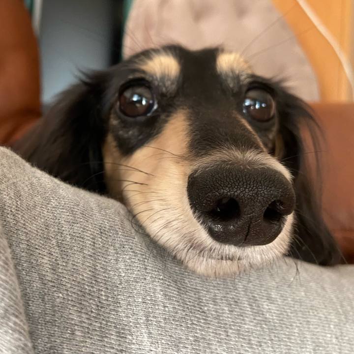 82fb3e35 a9a5 4eac 960e 8b22d796835e 1730591522362