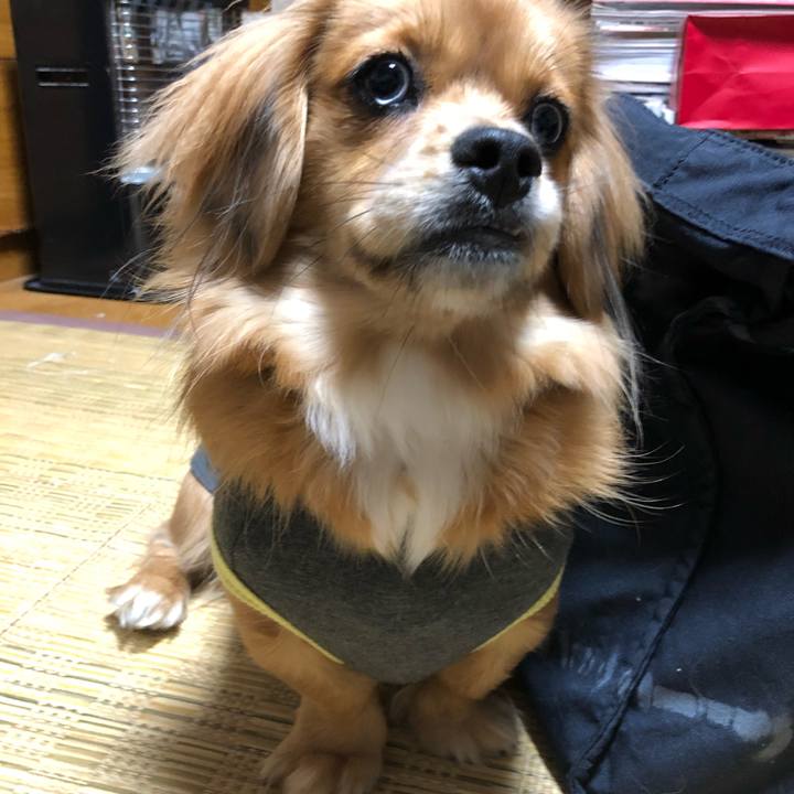 82fbc338 c641 43b9 b521 efb7a751341e 1512825982350