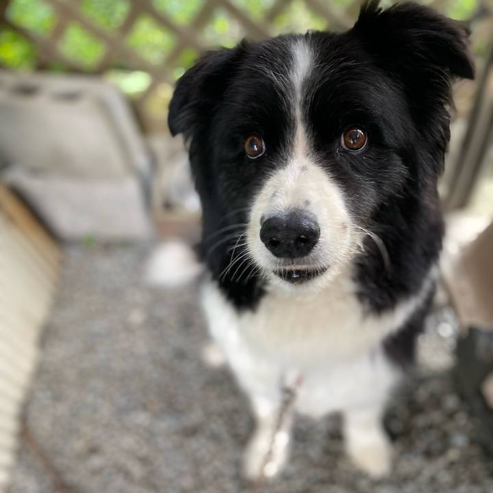 82fbf5d4 7419 4adc ac01 c099258a81d0 1692068465353