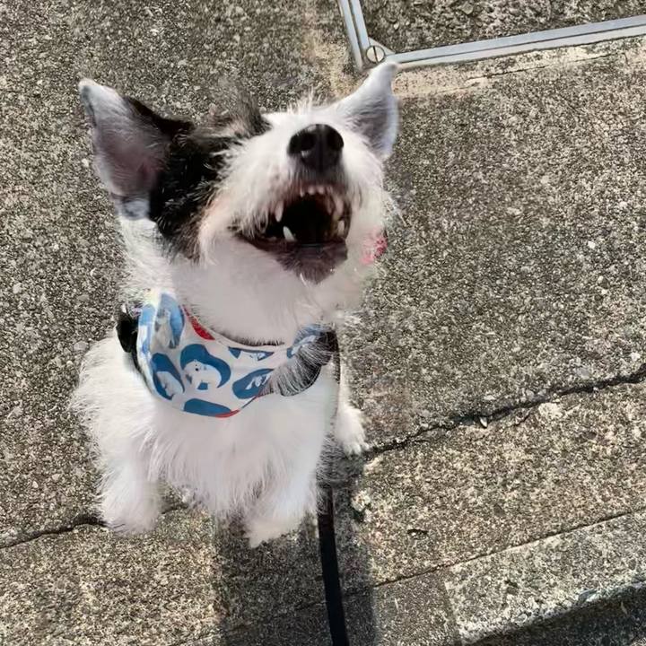 82fc1760 9576 4273 b881 47d9e9c60977 1755731330849