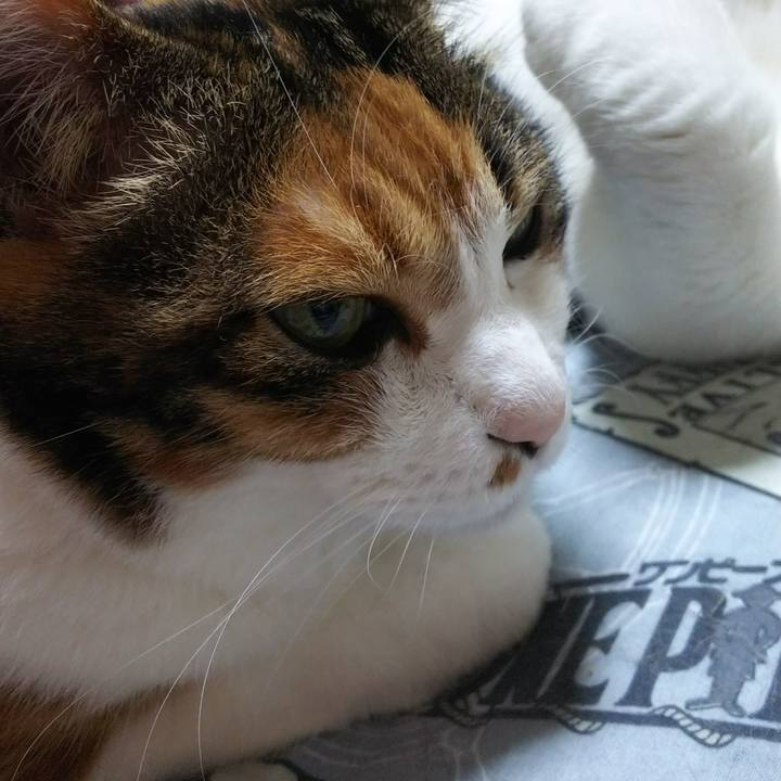 82fc199f f1e8 4db3 b83d 3b1ddbcbbb97 1531060935333