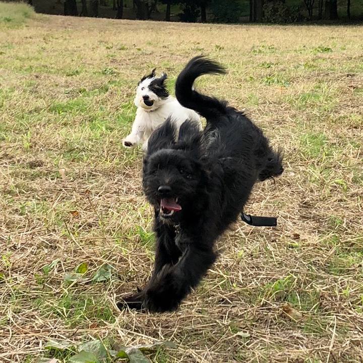 82fc3bca f781 49a8 8266 ca3b718143a9 1539121166176