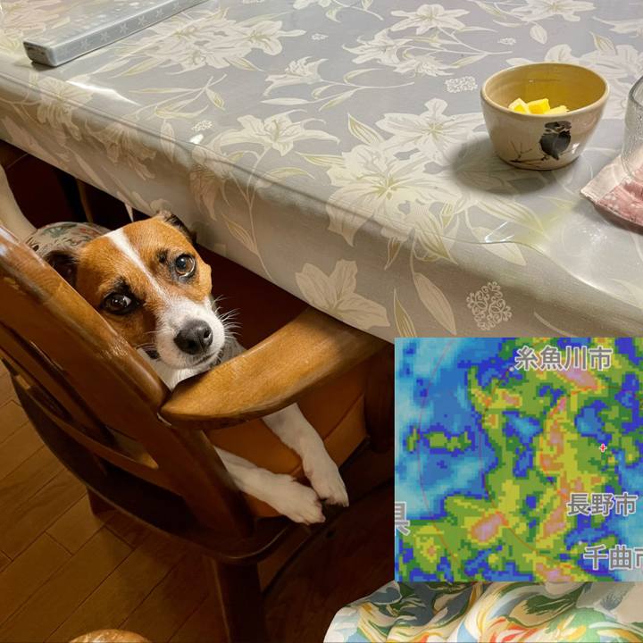 82fc3c90 0849 467c 8e00 370767a50281 1625440807516