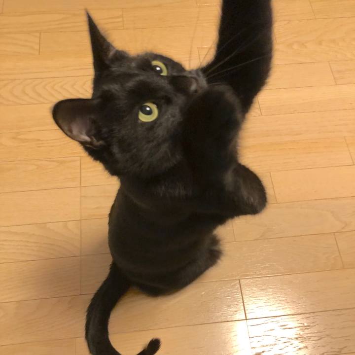 82fc4079 83a4 4050 9073 4e3ce08e16f7 1518003425017