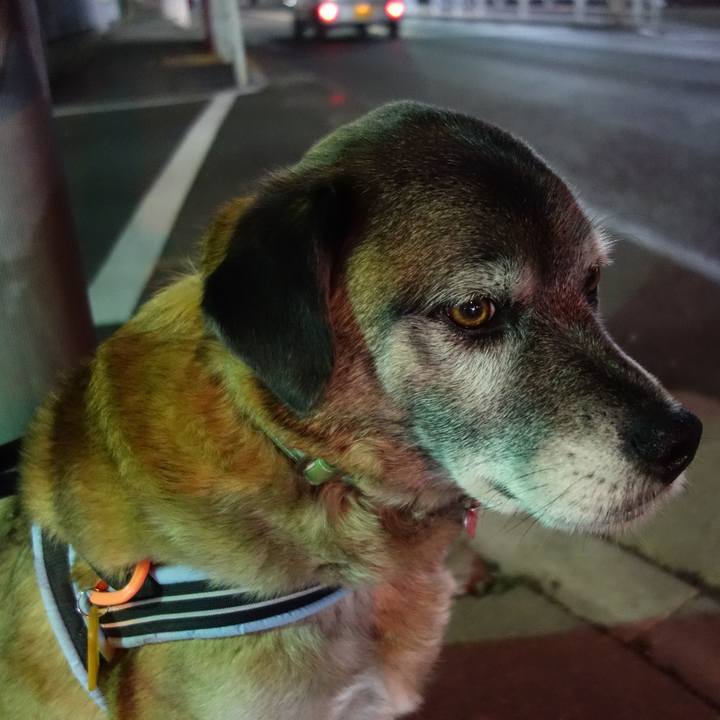 82fc8c96 7078 486a 941d a9a7eb279c54 1629247138053