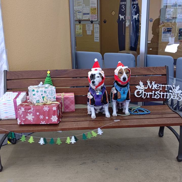 82fcad9e 950b 4693 9ce1 1919cef61cc8 1671949101314