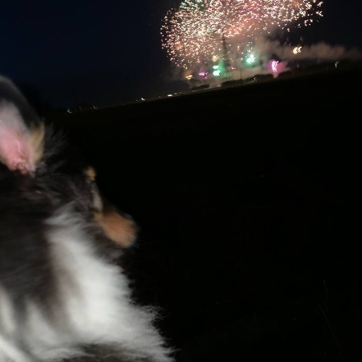 82fcf2ec 2274 4a2b 9031 44f9c63ec631 1567287267486