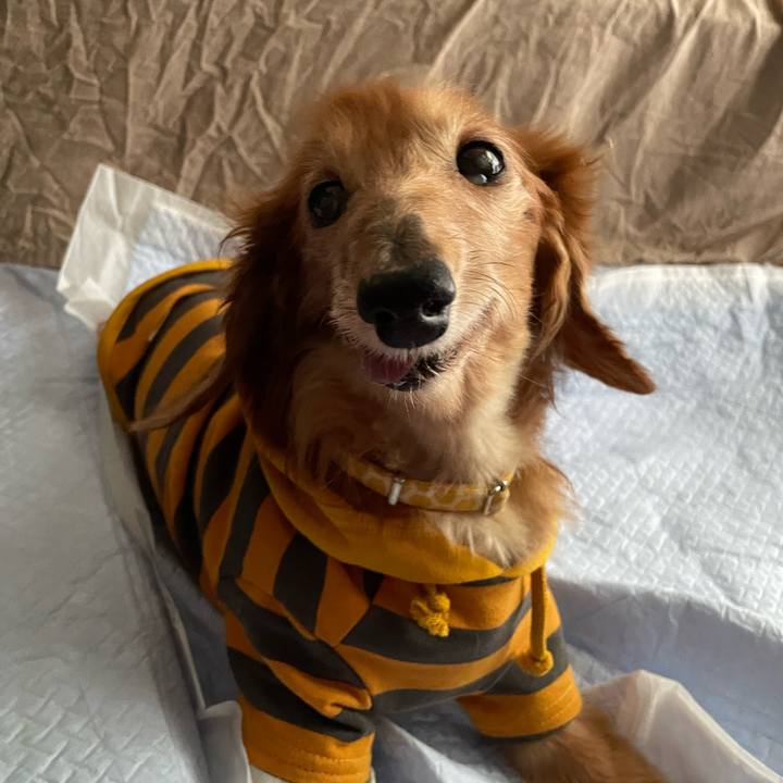 82fcf82c 07f6 4c19 b5f5 276dcbf4f173 1714699743848