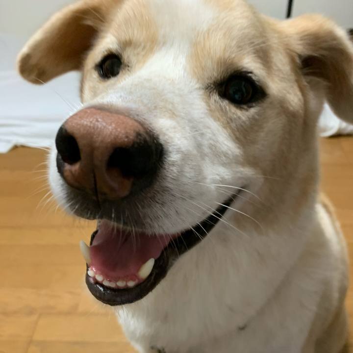 82fd0243 41ba 4099 a338 0e833e32240b 1598963228575