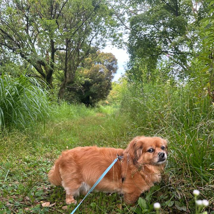 82fd3b50 72eb 497f b1f7 82236d5f6ba0 1720473369418