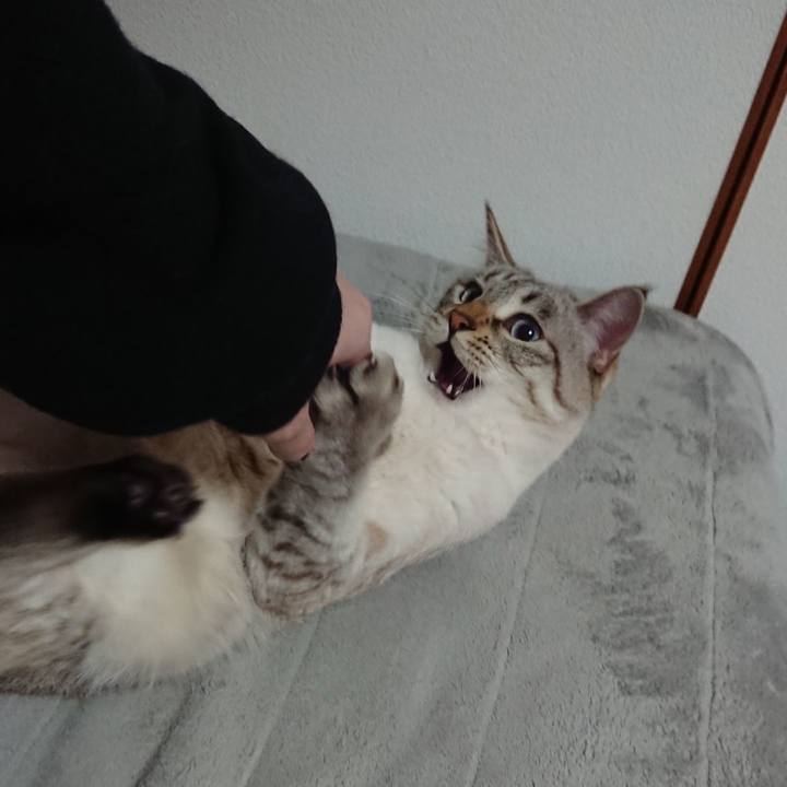 82fd43b4 dcd2 4a60 b37a e8f71ac605b4 1580126657852