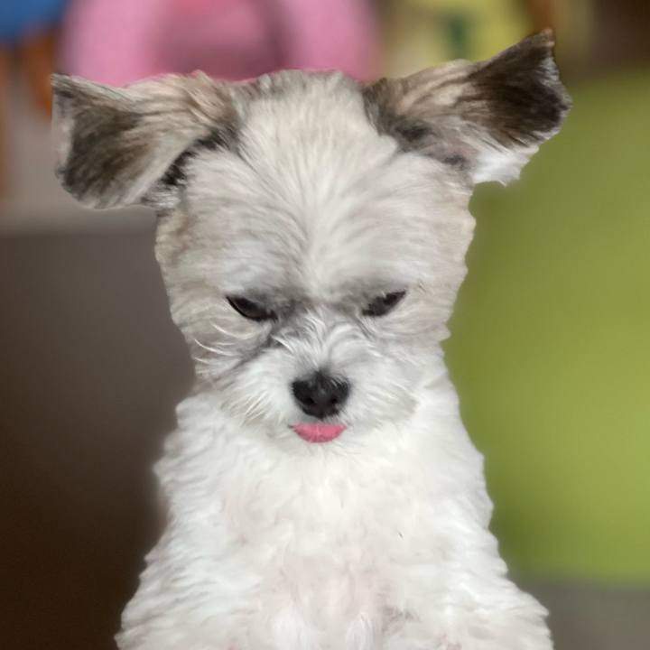 82fd4e0d d49e 4ad2 8984 9ea510f8c281 1721970487270