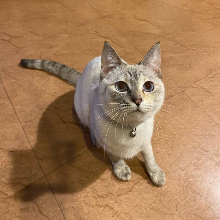 82fdd805 61a2 462c bcff 693b1bf23f2e 1646472704434