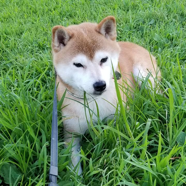 82fde444 27b6 4e62 b990 c71f976dc005 1597484032865