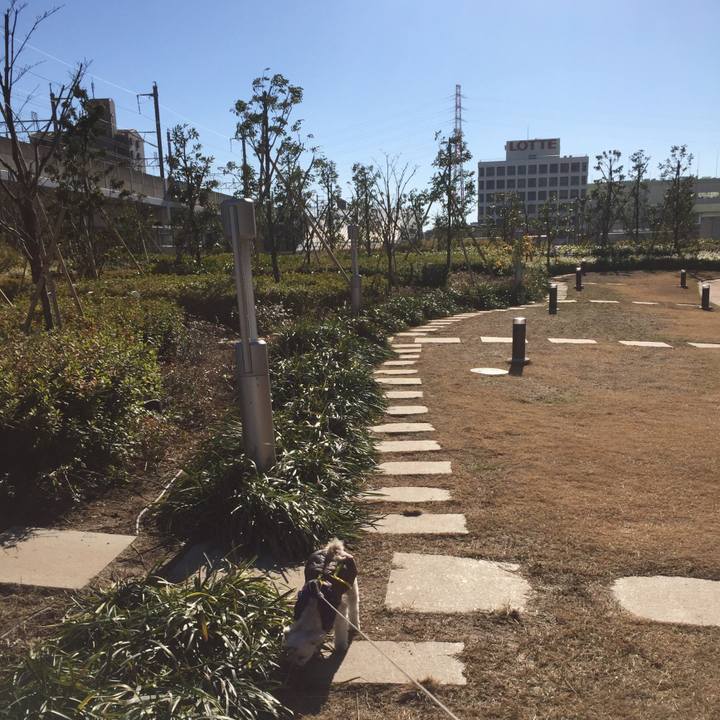 82fe0ea9 7686 4146 8188 91dd0875a69d 1514892780992