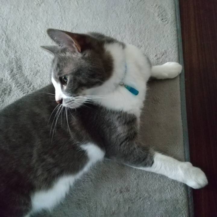 82fe1aec 79d8 4147 a824 29f9ec9e474e 1621287947925