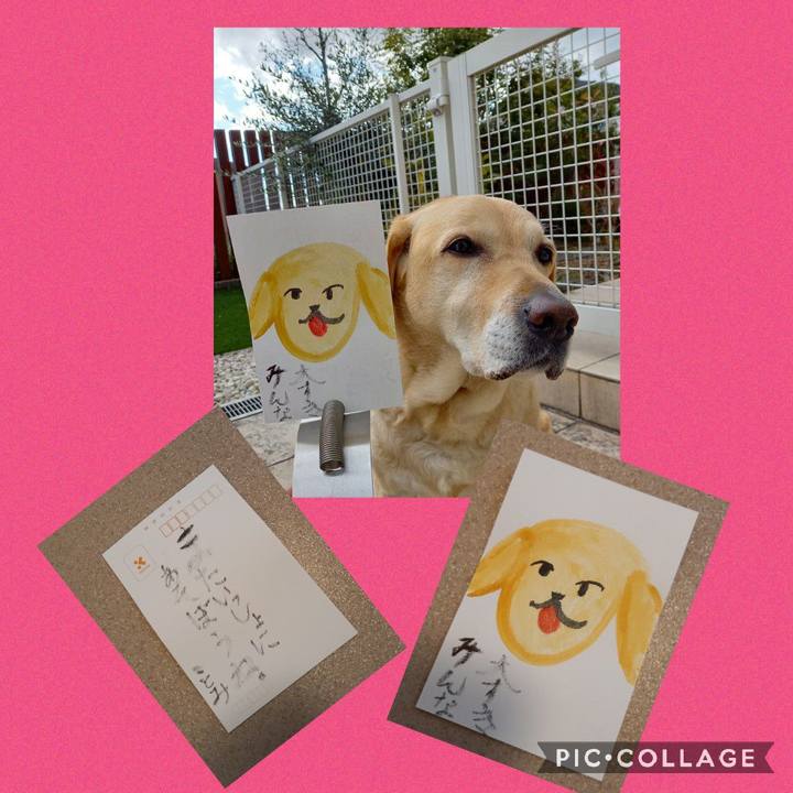 82fe2169 f006 40bc 8eb8 b3ace6fc7f69 1613540406430