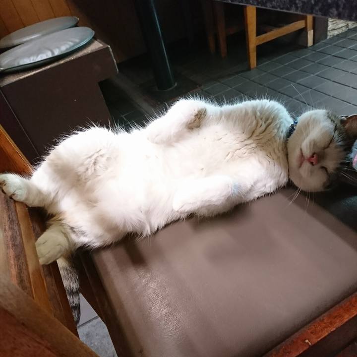 82fe6ccd d5ce 4017 bb58 bb87c9d2fd80 1563354533564