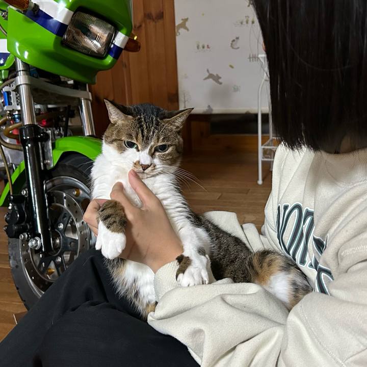 82fe6ff4 edb2 46f5 838b 983587ba6943 1671195283442